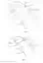Fig. 29 - Head and neck restraint device with dynamic articulation
