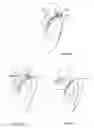 Fig. 37 - Head and neck restraint device with dynamic articulation