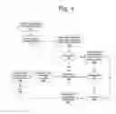 Fig. 05 - System for associating a wireless device to a console device