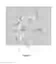 Fig. 04 - ENTERTAINMENT APPARATUS