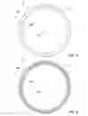 Fig. 04 - Seal, endcap assembly and filter assembly