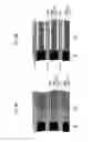 Fig. 07 - SPIRAL-SHAPED MODULE FOR ACIDIC-GAS SEPARATION