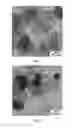 Fig. 02 - Functional gas-assisted impregnation method for producing noble metal alloy catalysts with defined morphology