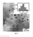 Fig. 03 - Functional gas-assisted impregnation method for producing noble metal alloy catalysts with defined morphology
