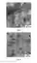 Fig. 05 - Functional gas-assisted impregnation method for producing noble metal alloy catalysts with defined morphology