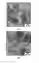 Fig. 06 - Functional gas-assisted impregnation method for producing noble metal alloy catalysts with defined morphology