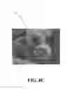 Fig. 18 - Visible light response catalyst structure and process for manufacturing the same