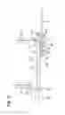 Fig. 09 - Method for dosing a liquid using a pipette and a syringe, and pipette for operating a syringe for dosing a liquid