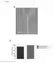 Fig. 05 - Microfluidic chip for analysis of cell motility and methods for using same
