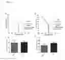 Fig. 06 - Microfluidic chip for analysis of cell motility and methods for using same