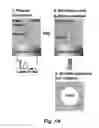 Fig. 02 - High-speed on demand droplet generation and single cell encapsulation driven by induced cavitation