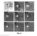 Fig. 10 - High-speed on demand droplet generation and single cell encapsulation driven by induced cavitation