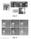 Fig. 14 - High-speed on demand droplet generation and single cell encapsulation driven by induced cavitation