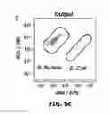 Fig. 12 - Magnetic separation filters for microfluidic devices