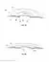 Fig. 04 - Separable membrane improvements
