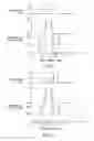 Fig. 06 - Spin coating apparatus and method