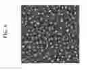 Fig. 07 - Metal dewetting methods and articles produced thereby