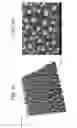 Fig. 09 - Metal dewetting methods and articles produced thereby
