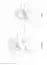 Fig. 08 - Rolling screen assembly