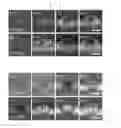 Fig. 04 - Functionalized metal oxide soldering methods and UV sensor manufactured thereof