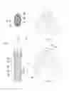 Fig. 02 - Inductive devices and low flow plasmas using them