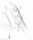 Fig. 03 - Pivoting razors