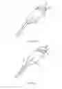 Fig. 14 - Razor having a brush or bristle head