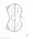 Fig. 09 - DEVICE FOR THE COMMINUTION OF FOODSTUFFS
