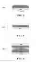 Fig. 03 - Fabrication and replication of polymer optical waveguides