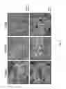 Fig. 08 - Scalable manufacturing of superhydrophobic structures in plastics