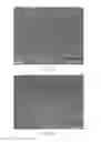 Fig. 06 - MICROBE-BASED MASTERS FOR MICRO CONTACT PRINTING AND METHODS FOR THEIR PREPARATION AND USE