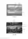 Fig. 08 - MICROBE-BASED MASTERS FOR MICRO CONTACT PRINTING AND METHODS FOR THEIR PREPARATION AND USE