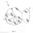Fig. 06 - PETAL SHAPED GREETING CARD AND METHOD