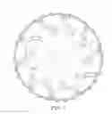 Fig. 06 - Wheel and tire assembly including a collapsible wheel