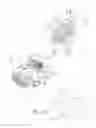Fig. 10 - Evaporative HVAC apparatus