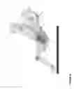 Fig. 02 - Reclinable seat