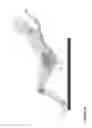 Fig. 03 - Reclinable seat