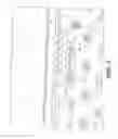 Fig. 06 - Device, system, and method for limiting movement of a cargo container in a cargo area