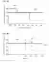 Fig. 10 - Vehicle lamp system