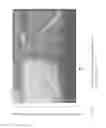 Fig. 10 - Vision display system for vehicle