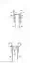 Fig. 18 - Side airbag device for vehicles