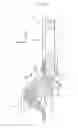 Fig. 07 - THROUGH ANCHOR