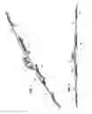 Fig. 02 - HINGED WIPER BLADE