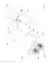 Fig. 02 - Harness and pulling assembly