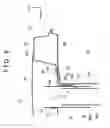 Fig. 07 - Vehicle front structure and assembly method of vehicle front structure