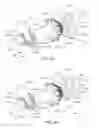 Fig. 16 - Vehicle wheel axle assembly