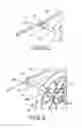 Fig. 05 - Bicycle with rear drive assembly for elliptical movement
