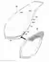 Fig. 01 - Composite propeller blade for an aircraft