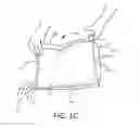 Fig. 03 - Gusset grip containers and methods for the manufacture thereof