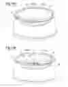 Fig. 08 - Safety capsule for containers